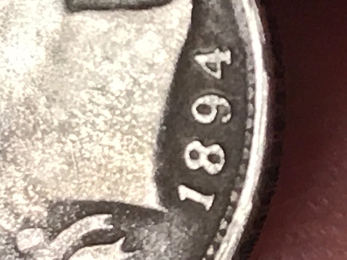 Assistance-With-An-1894-Dime