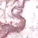 1974-Penny-Lincoln-Mouth-Open-Error