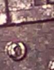 2015-P-Nickel-With-Die-Chips