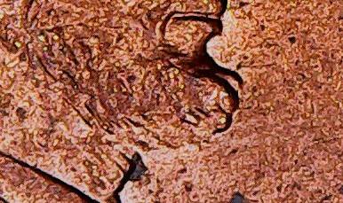 1992-Penny-Doubled-Chin?