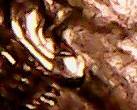 1974-Lincoln-Cent-Double-Eyelid