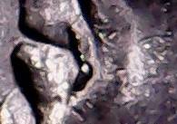 2006-Dime-Die-Chip-Issue