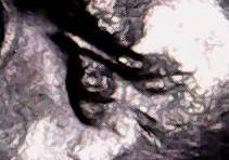 2006-Dime-Die-Chip-Issue