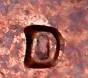 1974-D-Lincoln-Cents-RPM