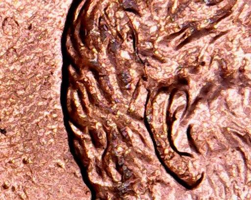 2006-Lincoln-Cent-Extra-Behind-Ear?