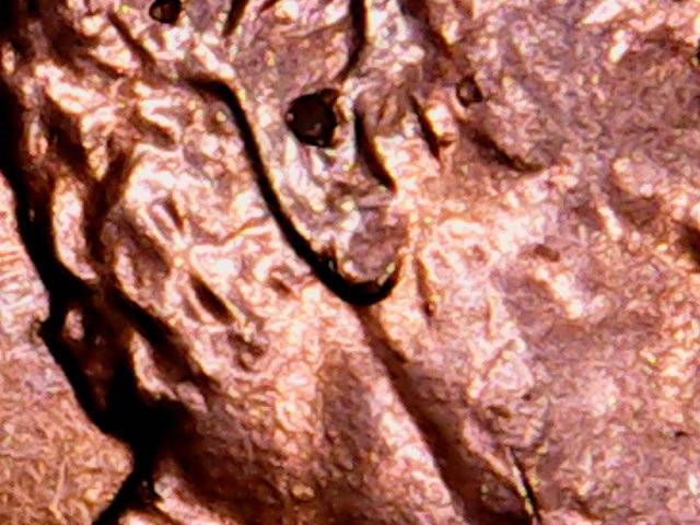 2015-Shield-Cent-Error-Or-Damage