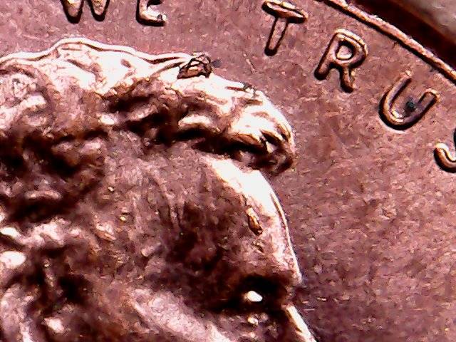 2015-P-Shield-Cent-Die-Chip-On-Head-In-Face