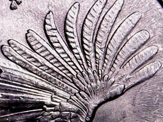 2015-Louisiana-Kisatchie-Quarter-Date-Die-Chip