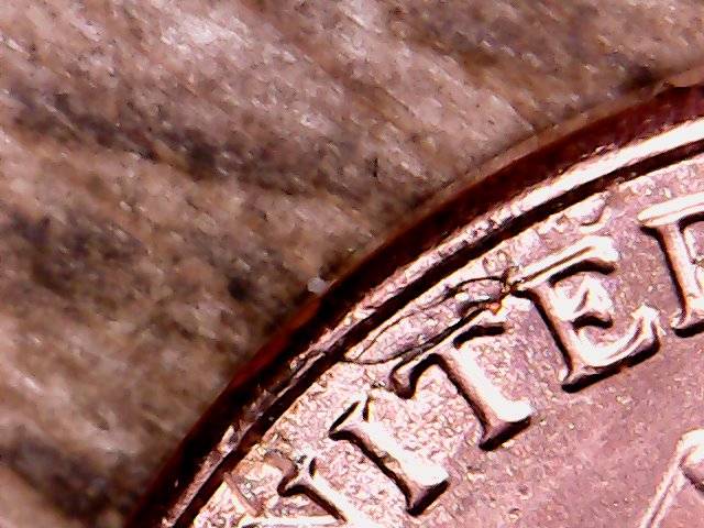 2019-P-Shield-Cent-Possible-Cud