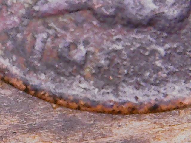Got-This-From-Penny-Roll-1903-Cent-?