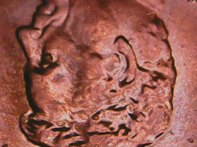 2019-P-Shield-Cent-What-Happen-To-Abe's-Eye-Help