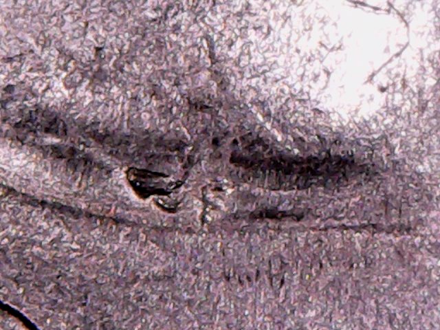 2015-Bombay-Hook-Quarter