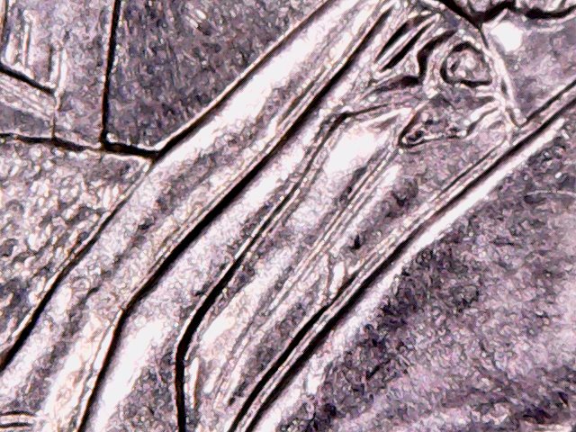 Do-You-Guys-See-Double-In-His-Hands?-2017-D-Frederick-Quarter