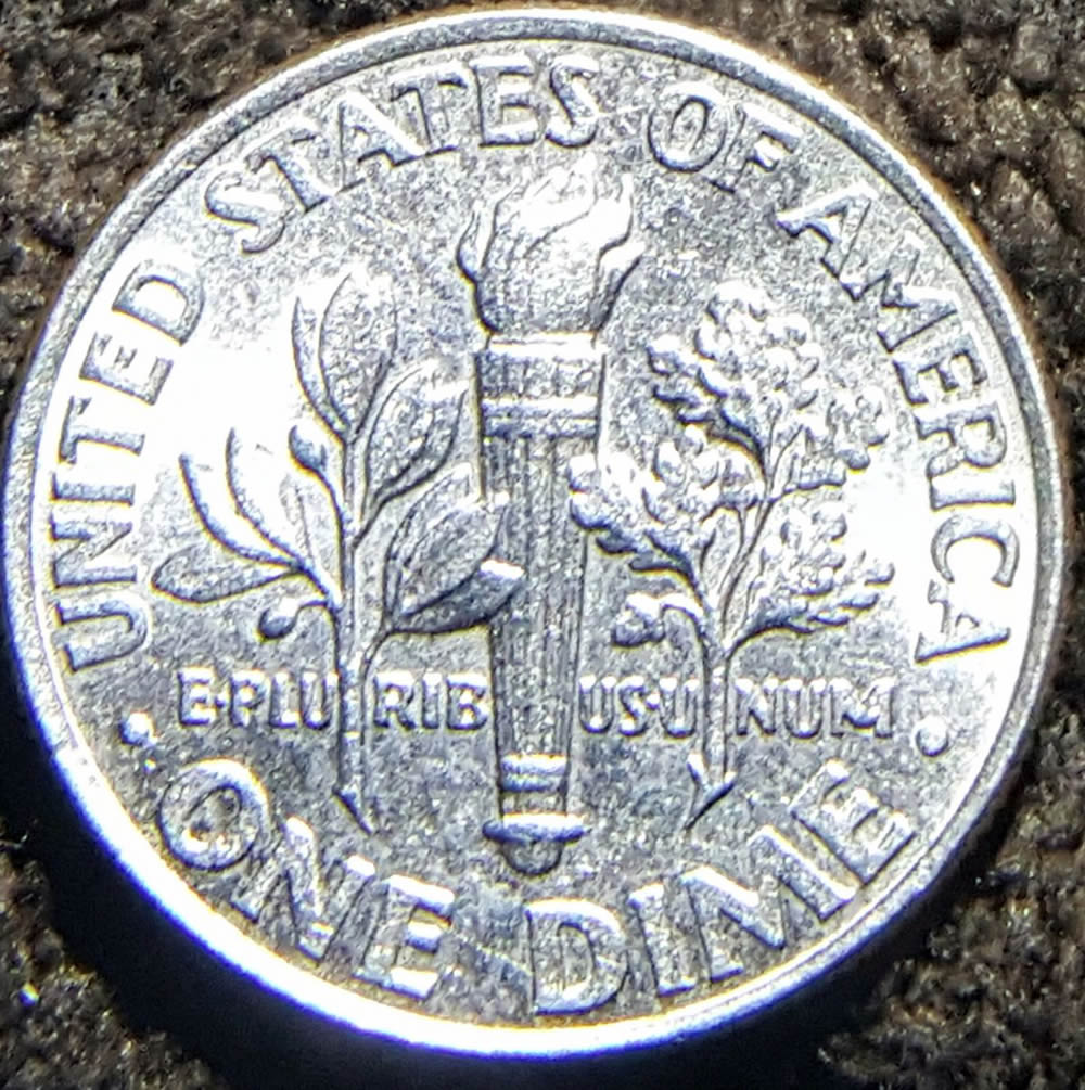 2006-P-Roosevelt-Dime-Die-Chips?