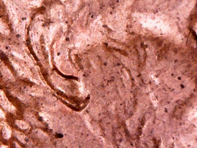 Is-This-A-Doubled-Ear-2001-Lincoln-Cent