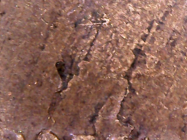 A-Couple-Of-Cents-With-Lamination-Error