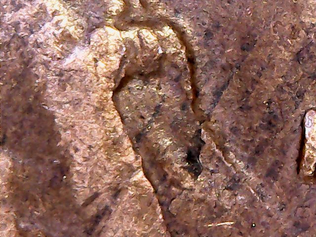 A-Couple-Of-Cents-With-Lamination-Error