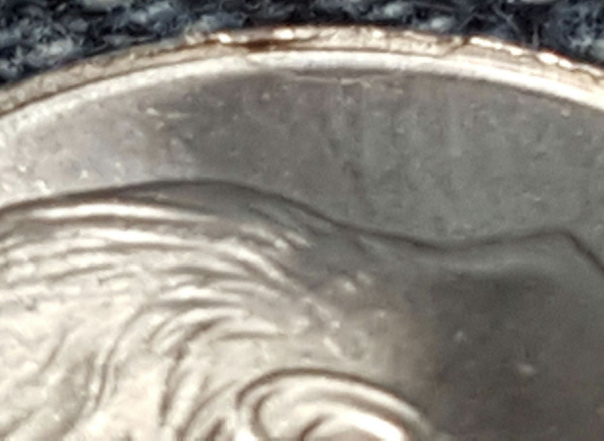 2017-P-Dime-Start-Of-A-Cud-Maybe?-Or?