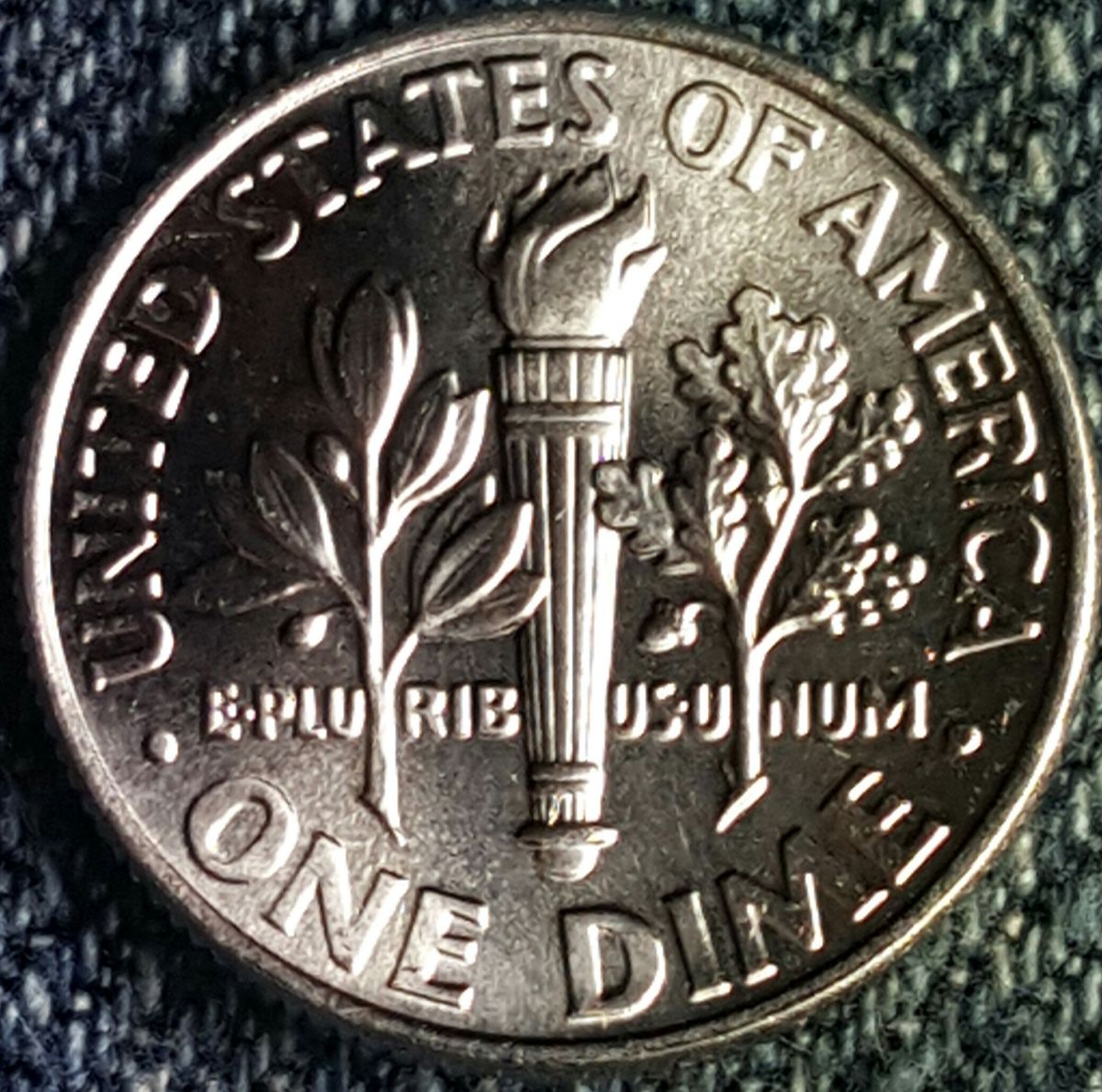 2017-P-Dime-Start-Of-A-Cud-Maybe?-Or?