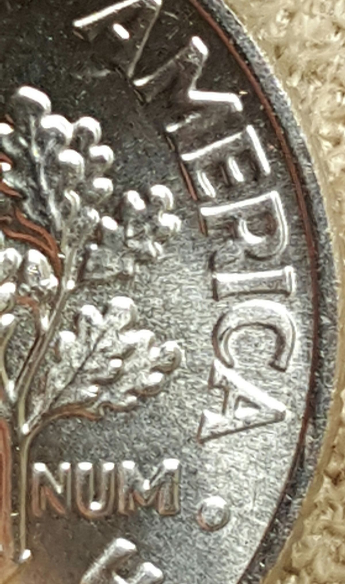 2017-P-Dime-Start-Of-A-Cud-Maybe?-Or?
