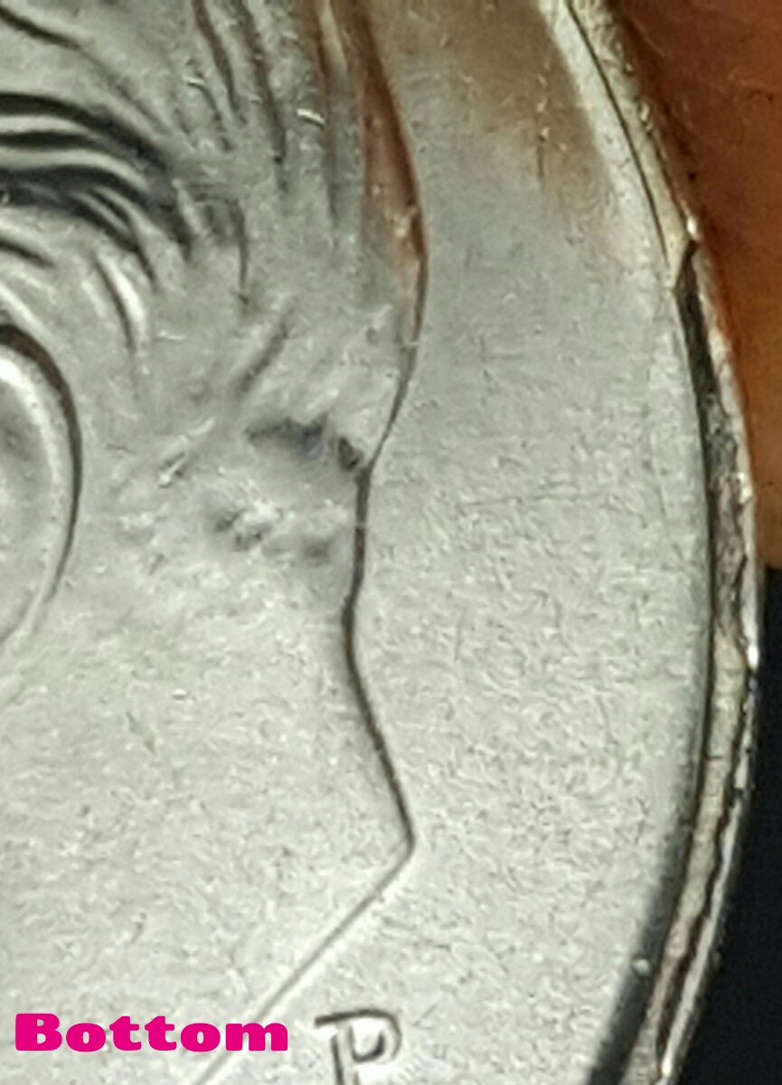 2017-P-Dime-Start-Of-A-Cud-Maybe?-Or?