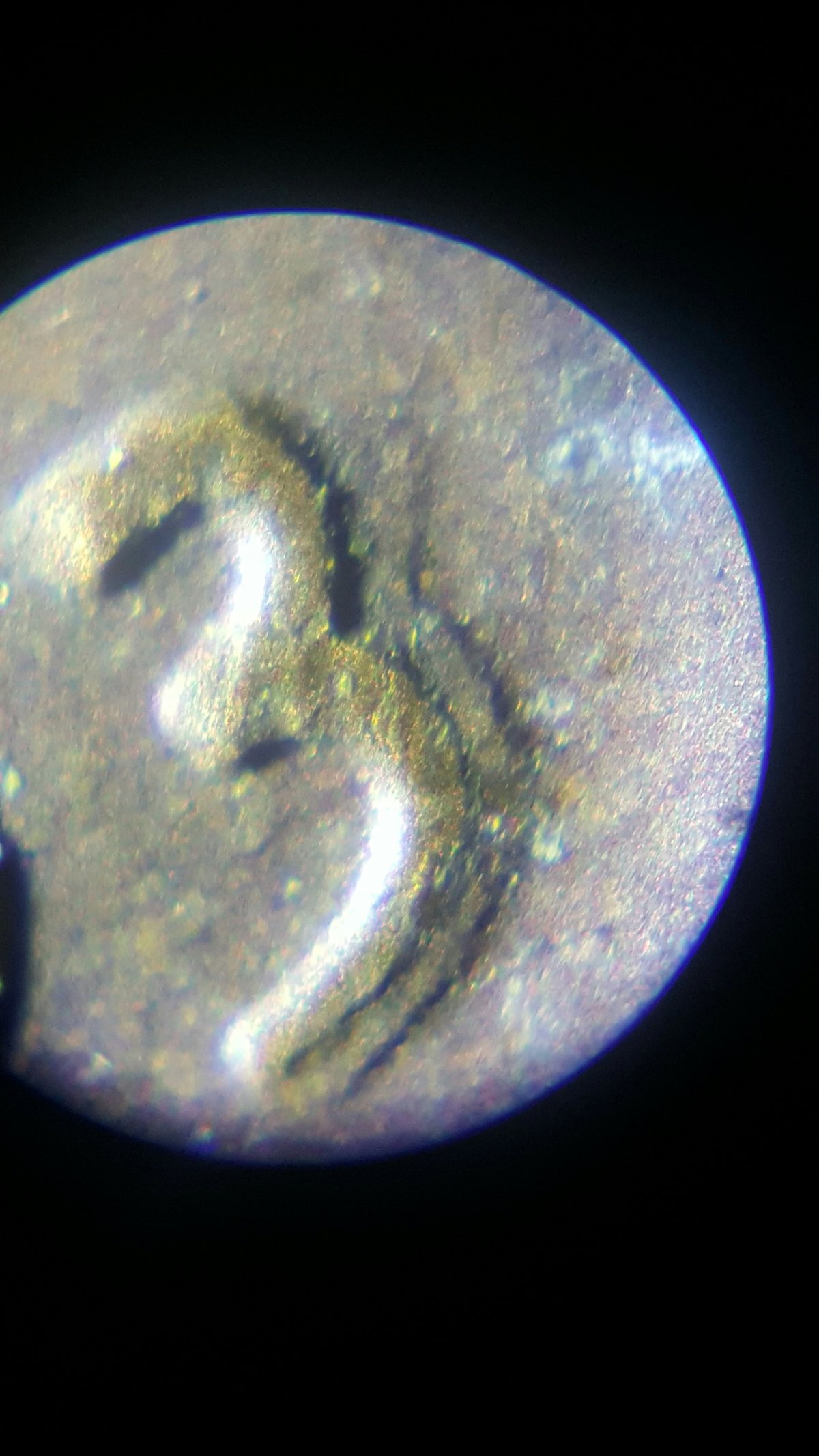 1953-Lincoln-Wheat-Cent