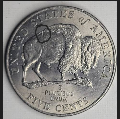Speared-Buffalo?-Post-Mint-Damage?-Die-Error?