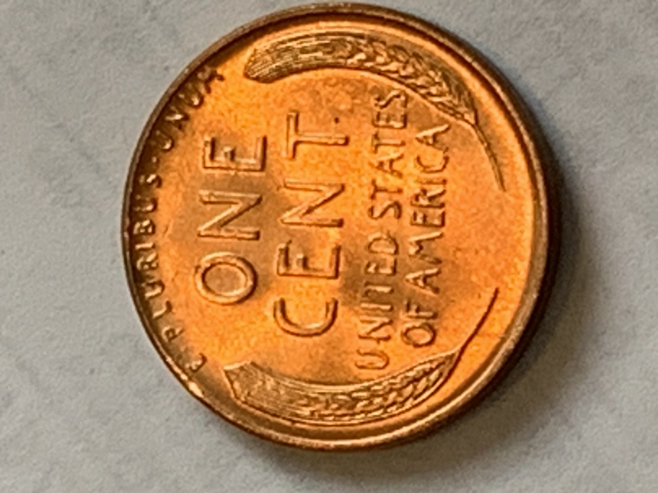 Can-Any-Guess-What-These-Would-Be-Graded?