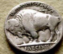 Sellers-Pictures-1926-S-Buffalo-Nickel-For-Grading