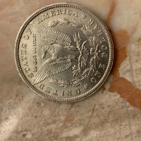 Extremely-Rare-1892-S-And-1892-CC-Morgan's,-Pics-Included,-Holy-Grail-Find?!