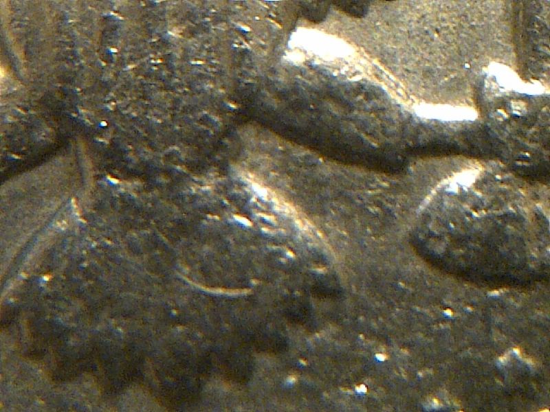 JFK-Half-Dollar-Roll-Hunters:-Silver,-Proofs-And-Other-Finds
