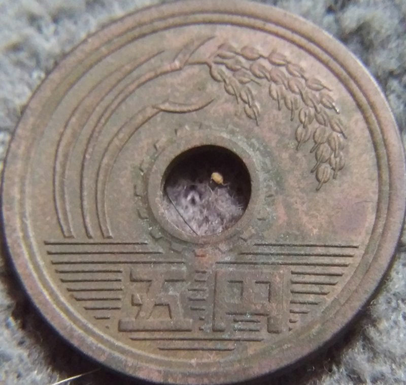 Japanese-5-Yen,-Year?