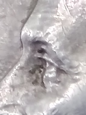 1990-D-Roosevelt-Dime-Doubled-Eye?