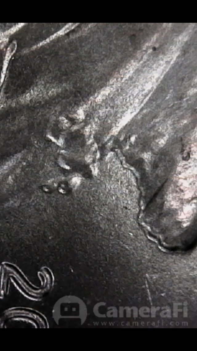 Possible-2019-Penny-DDO/De?-Opinions