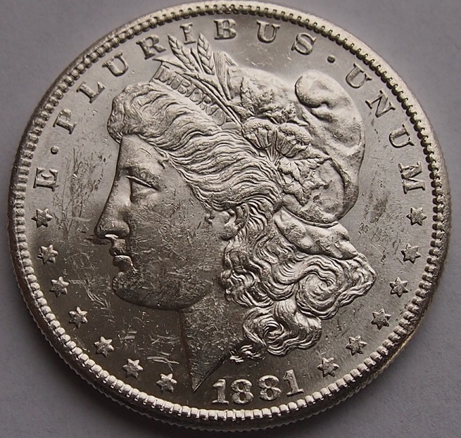 1881-S-Morgan-Dollar,-Judge-Harshly-Please
