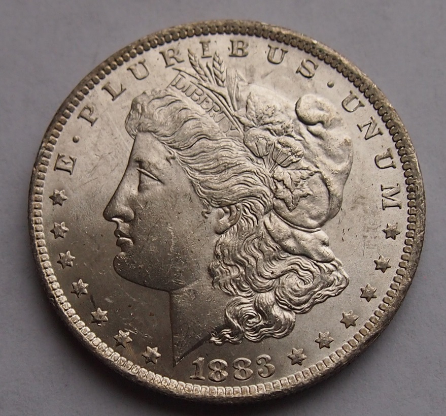 1883-O-Morgan,-Begs-For-Opinions
