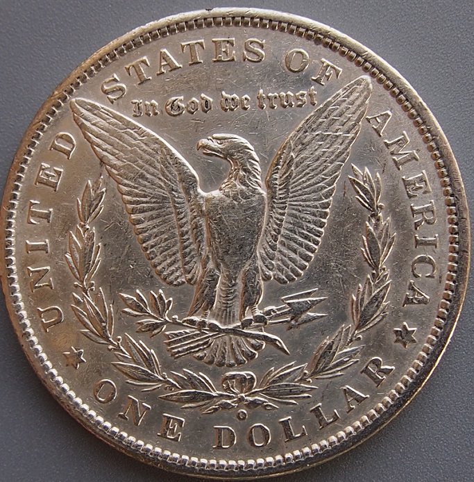 Another-Morgan,-1880-O,-Please-Grade