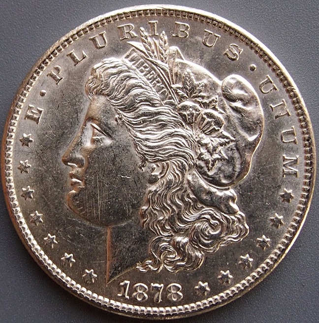 Another-1878-S-Morgan,-Please-Grade