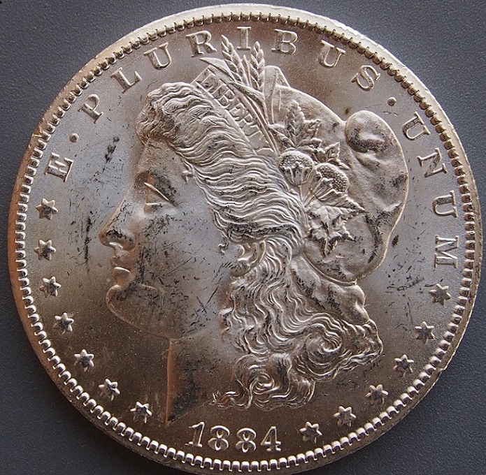 Morgan,-Be-Gentle-With-Your-Grade-1884-CC