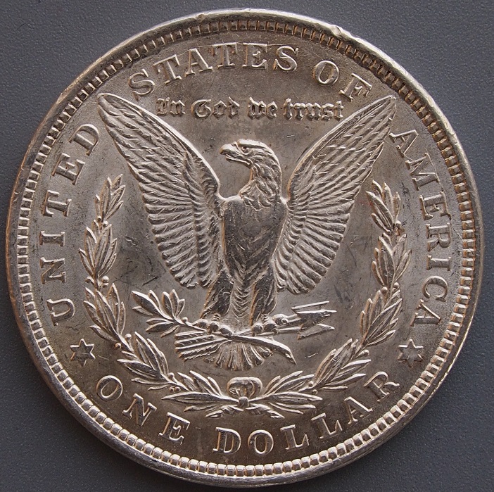 Morgan-#4,-1921-P,-Judge-Me-Please
