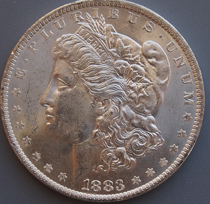 Morgan-#13-1883-O-For-Grading