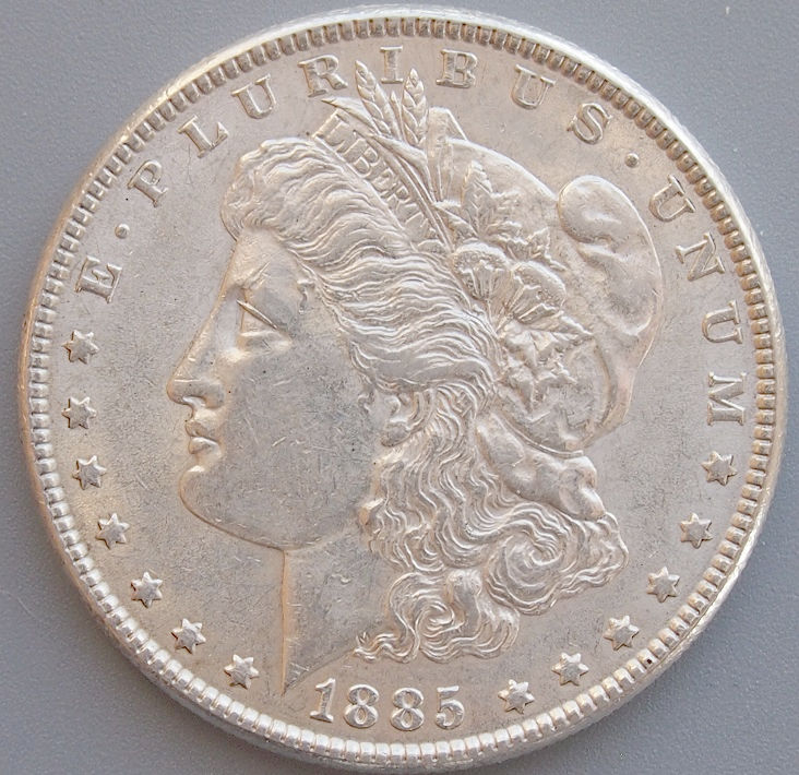 Morgan-#14,-1885-P,-Please-Grade