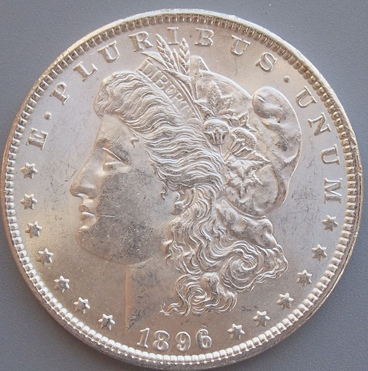 Morgan-#16,-1896-P,-Please-Grade