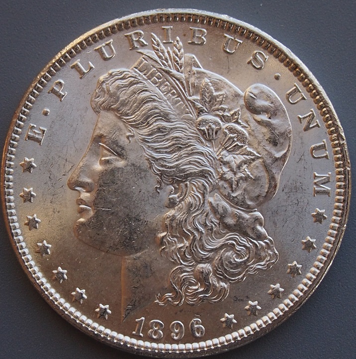 Morgan-#16,-1896-P,-Please-Grade