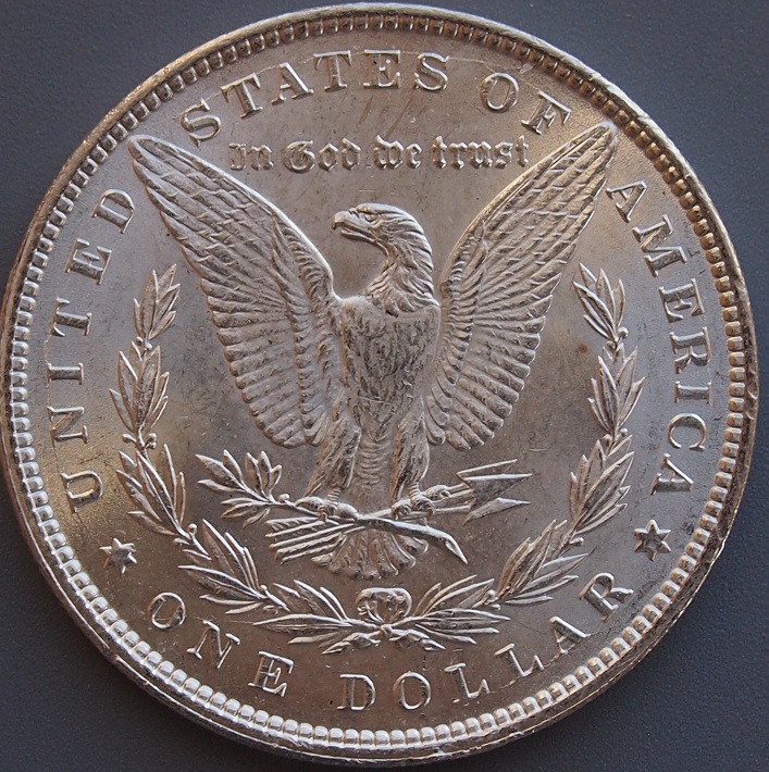 Morgan-#16,-1896-P,-Please-Grade