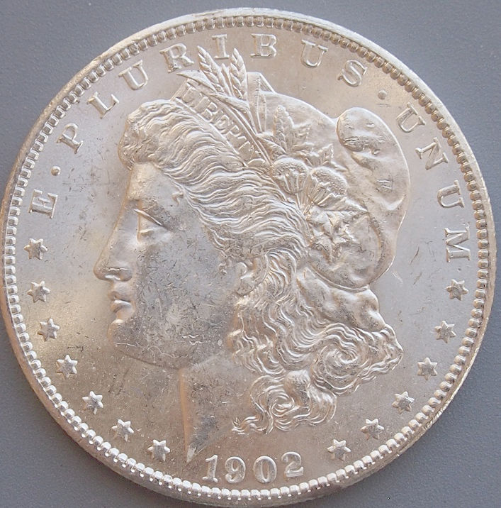 Morgan-#17,-1902-O,-Please-Grade