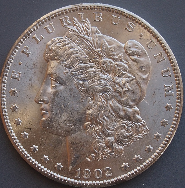 Morgan-#17,-1902-O,-Please-Grade