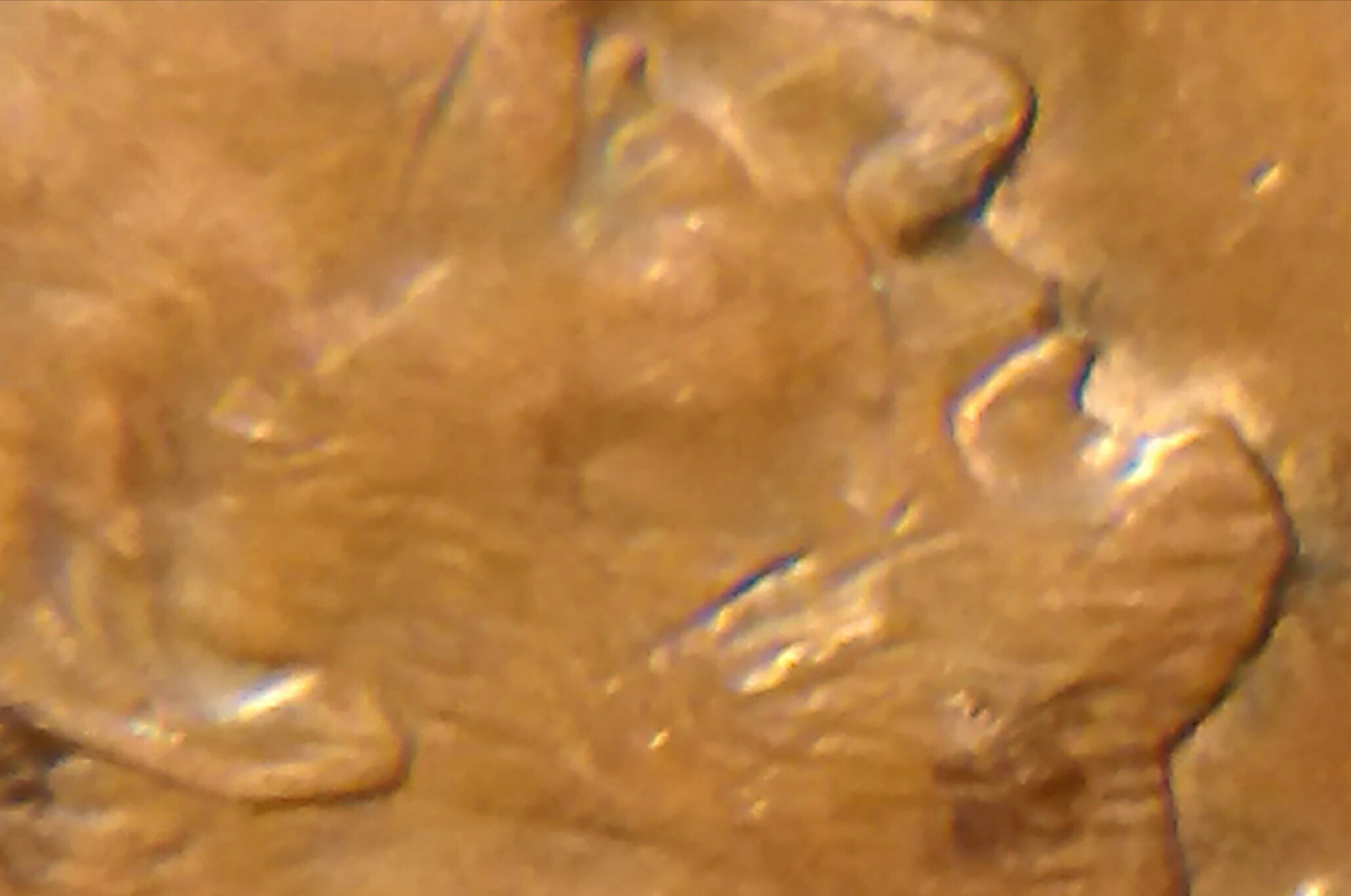 1995-Penny-That-Might-Be-Double-Stamped