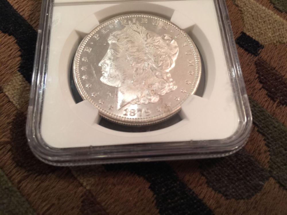 Your-Most-Expensive-Purchase?