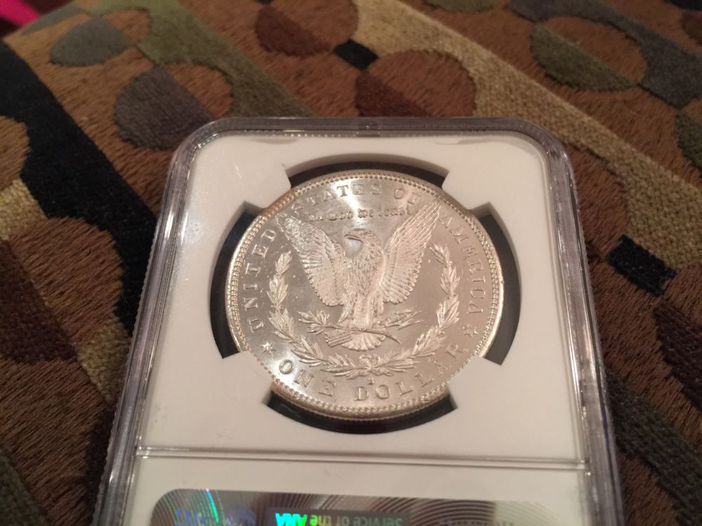 Your-Most-Expensive-Purchase?